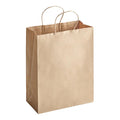 10" x 5" x 13" Natural Kraft Paper Paper Bag with Handles (Medium) - 250/Case
