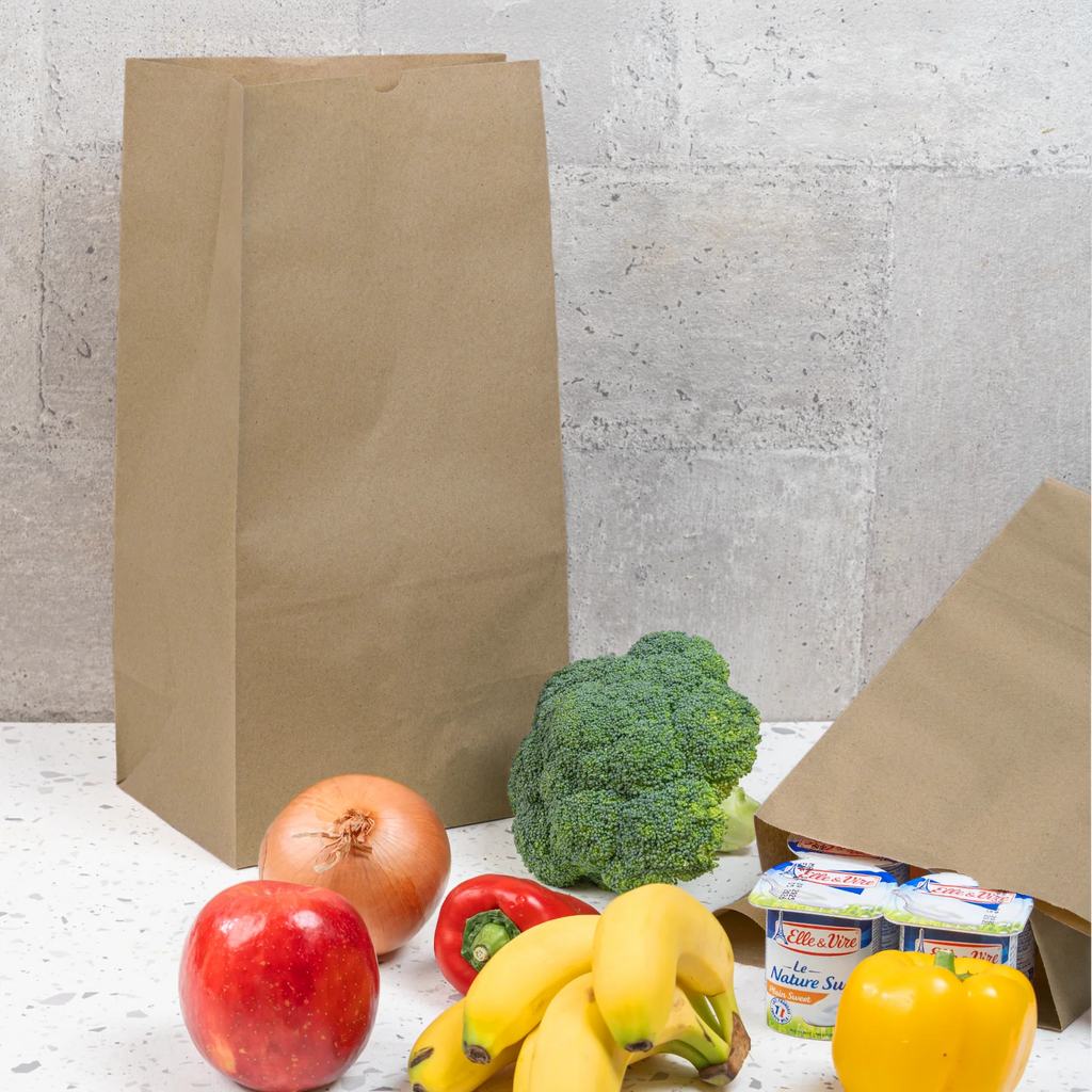 Canada 20 lb Natural Kraft Paper Bag - 500/Pack
