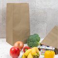 Canada 20 lb Natural Kraft Paper Bag - 500/Pack