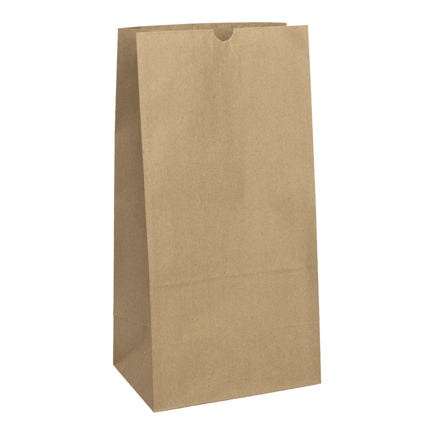 Canada 20 lb Natural Kraft Paper Bag - 500/Pack